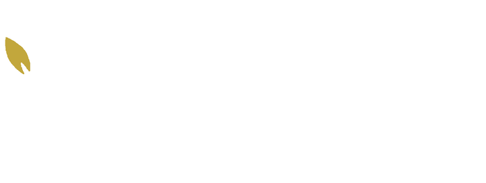 The Cove Nest
