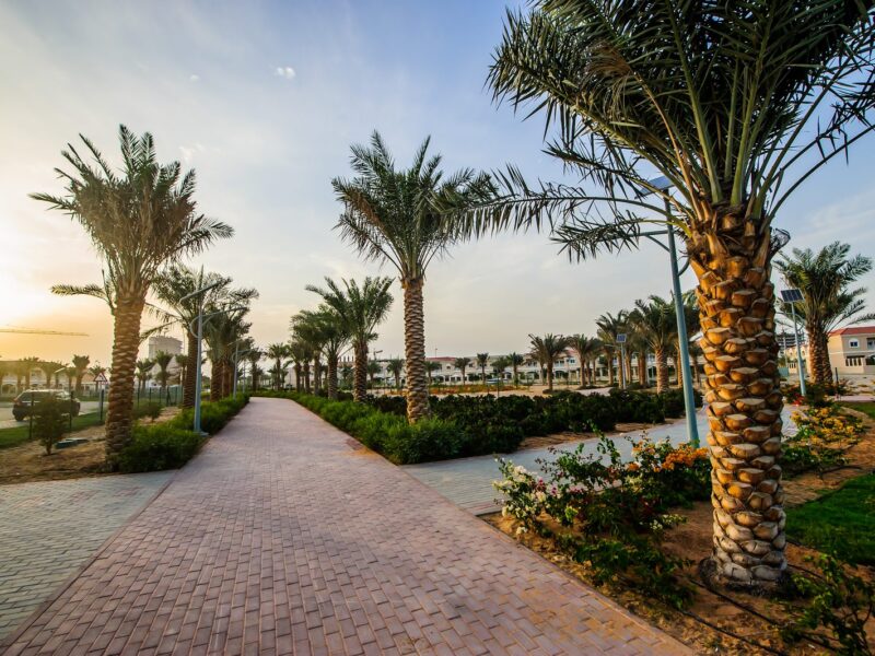 Jumeirah Village Circle